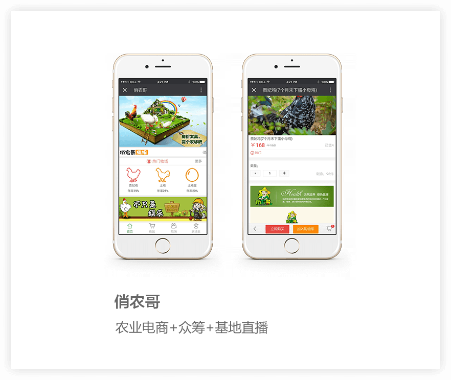 农业电商系统项目详情