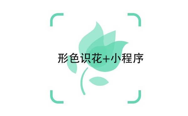 形色识花+小程序,实用的花草识别_工具小程序测评-咕嘟网络科技