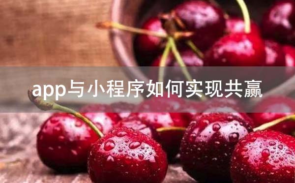 app开发与小程序开发如何实现共赢？-咕嘟网络科技