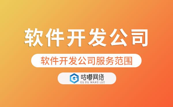 软件开发公司业务范围包括哪些？