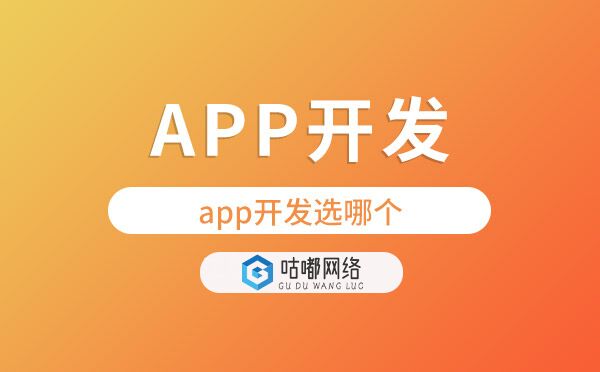 app开发选哪个【app开发公司】