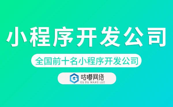全国前十名小程序开发公司.jpg