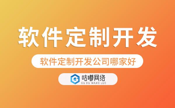 软件定制开发.jpg