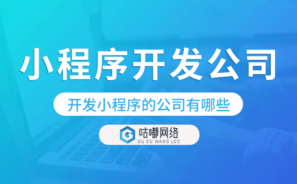 开发小程序的公司有哪些-小程序开发公司.png