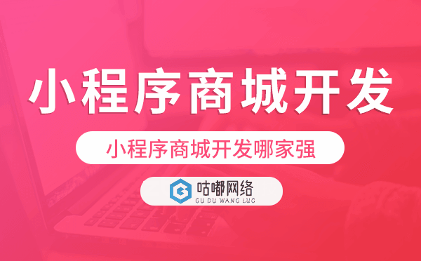 小程序商城开发哪家强?小程序商城开发公司