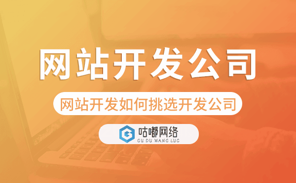 企业网站开发如何挑选网站开发公司.png