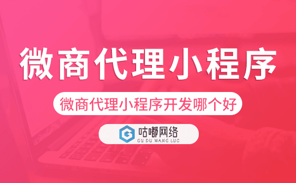 微商代理小程序开发哪个好