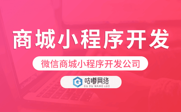 微信商城小程序开发公司哪家值得推荐？