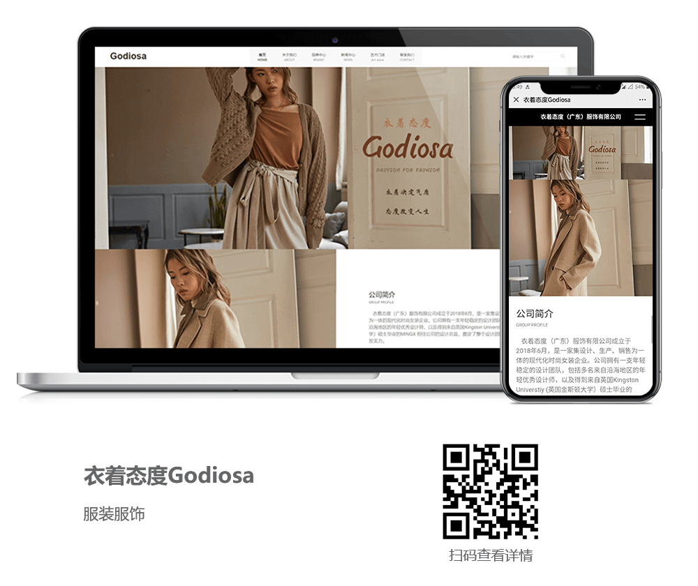 服装网站建设项目详情