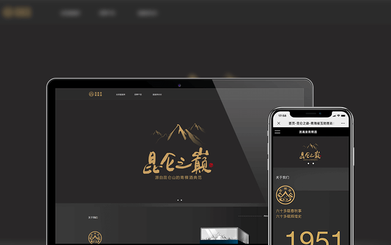 酒业网站建设案例