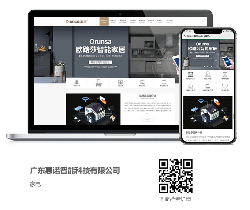 家电网站建设项目详情