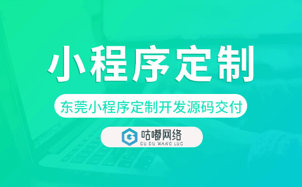东莞小程序定制开发源码交付,高端定制