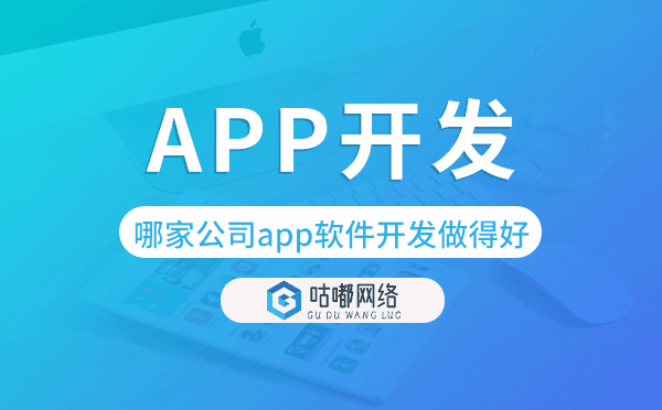 手机app软件开发,哪家公司app软件开发做得好