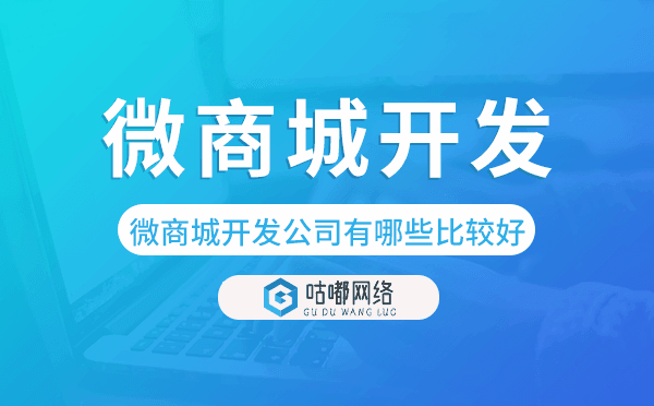 微商城开发公司有哪些比较好的