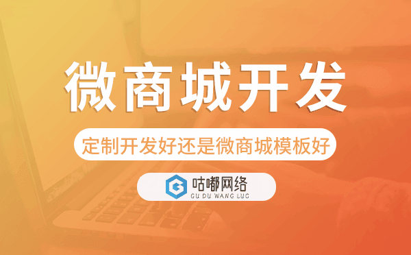 微商城开发选择定制好还是微商城模板好