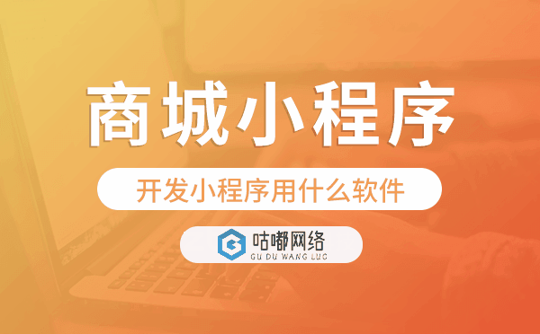 开发小程序用什么软件,商城小程序开发