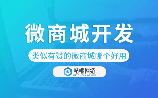类似有赞的微商城哪个好用便宜.png
