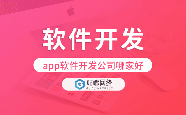 app软件开发公司哪家好,重庆软件开发