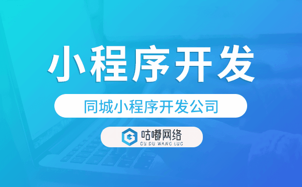 同城小程序定制化开发，小程序开发公司