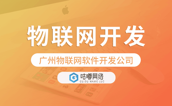 物联网软件开发公司,重庆物联网开发公司
