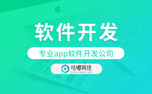 专业app软件开发公司,重庆软件开发公司
