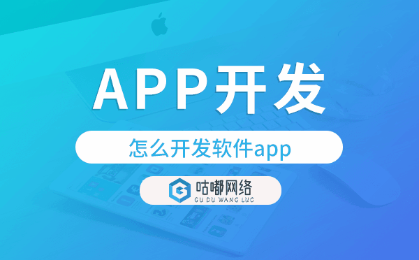 怎么开发软件app,专业app开发公司.png