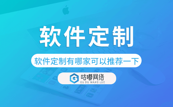 软件定制有哪家可以推荐一下【咕嘟网络科技】
