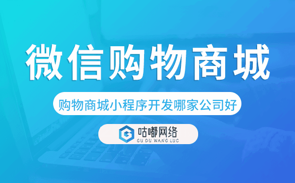 微信购物商城小程序开发哪家公司好