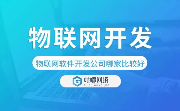 物联网软件开发公司哪家比较好-咕嘟网络科技