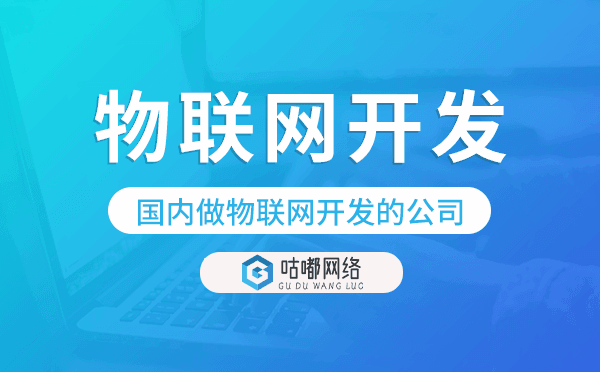 国内做物联网开发的公司,物联网开发公司