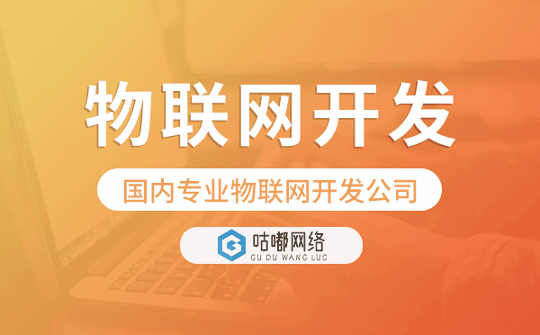 物联网软件开发公司【国内专业物联网开发公司】