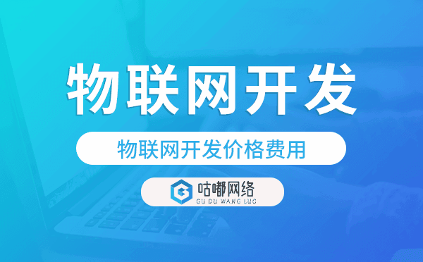 物联网开发报价,物联网开发价格费用