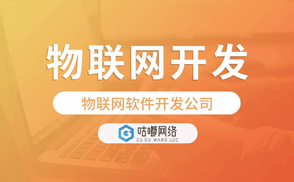 物联网软件开发公司,专业物联网开发公司