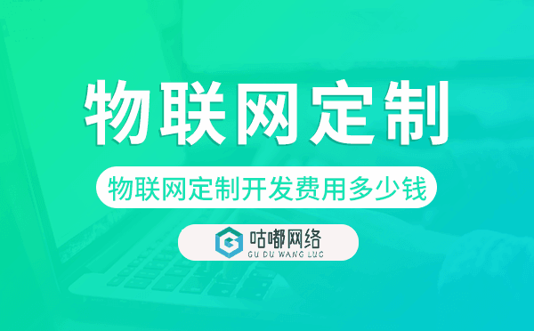 物联网定制开发费用,物联网定制开发多少钱