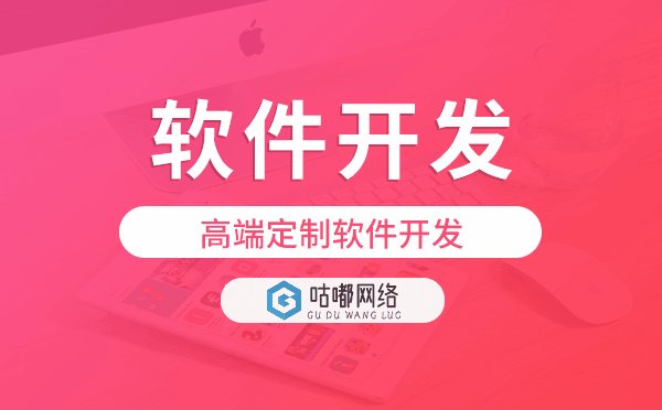 重庆软件开发公司,高端定制软件开发