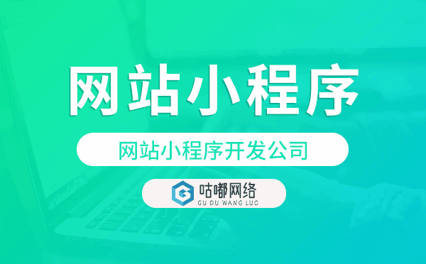 网站小程序开发,网站小程序开发公司