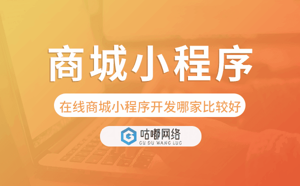 在线商城小程序开发哪家比较好.png