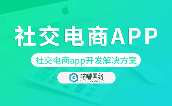 社交电商app开发,社交电商app开发解决方案