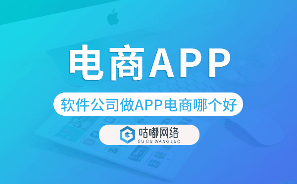 软件公司做APP电商哪个好,电商app开发