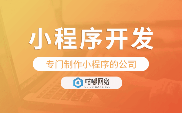 专门制作小程序的公司,小程序开发制作公司