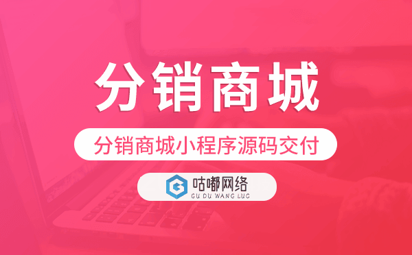 分销商城小程序源码交付,高端定制开发