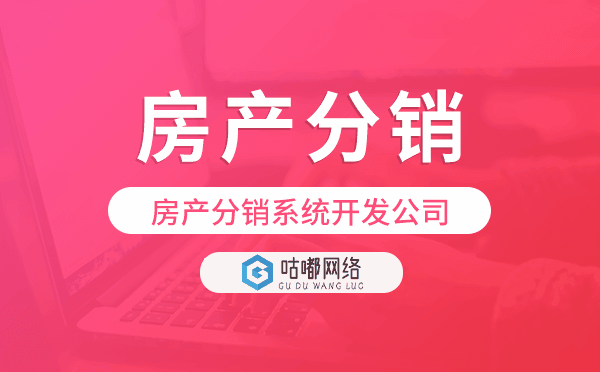 房地产系统开发,房产分销系统开发公司
