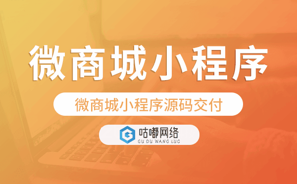 微商城小程序源码交付,高端量身定制
