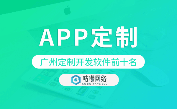 重庆定制开发软件前十名,重庆app定制开发