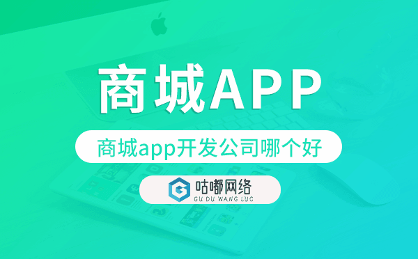 商城app开发公司哪个好,专业商城app开发