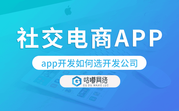 社交电商app开发如何选择开发公司