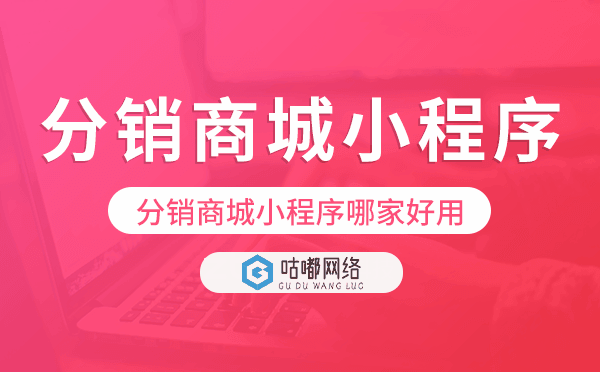 分销商城小程序哪家好用,可以快速上线?