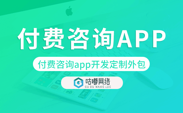 付费咨询app开发定制外包找哪家公司好