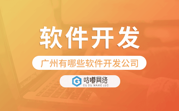 重庆有哪些软件开发公司,重庆软件开发.png