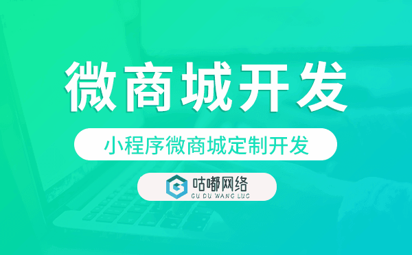 小程序微商城定制开发,重庆微商城开发